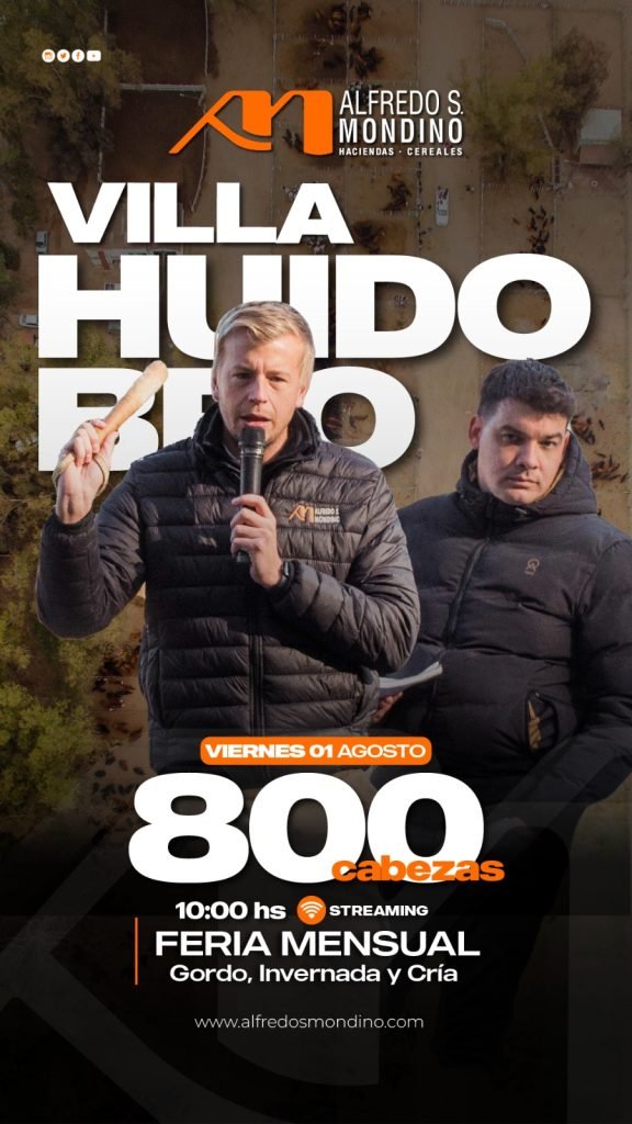 Villa Huidobro