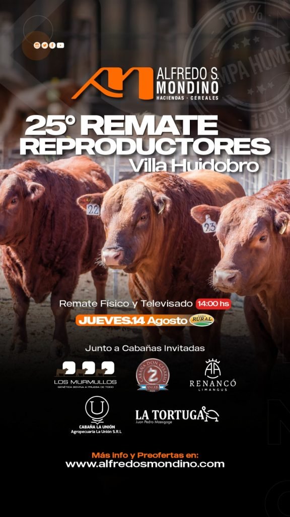 Remate Villa Huidobro