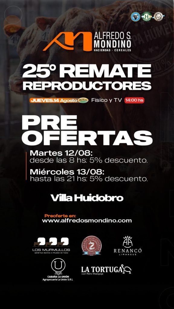 Remate Villa Huidobro
