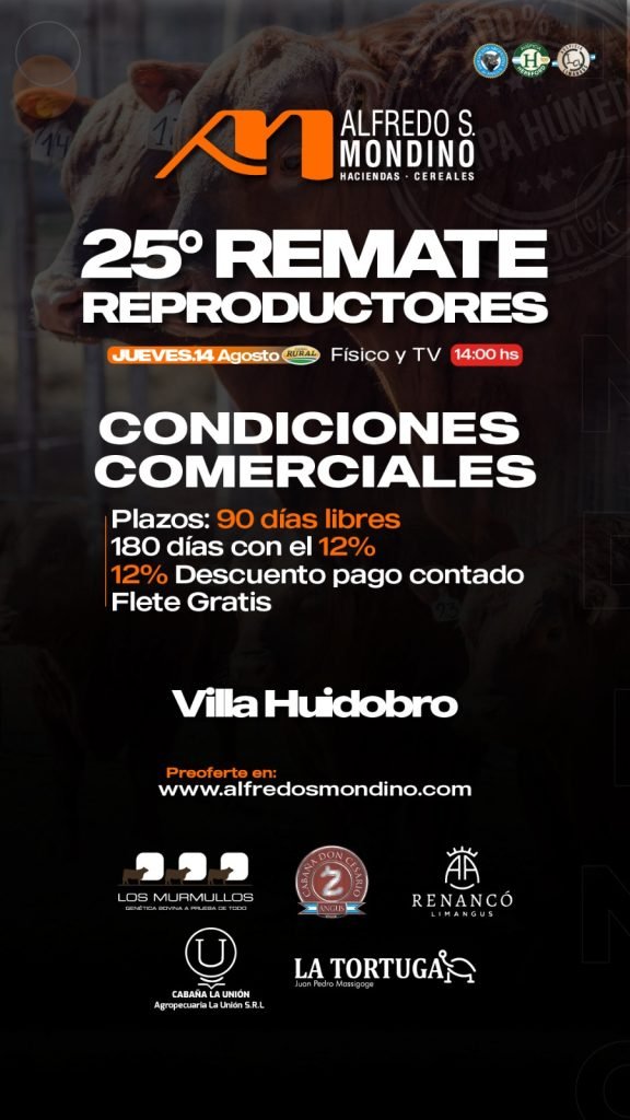 Remate Villa Huidobro