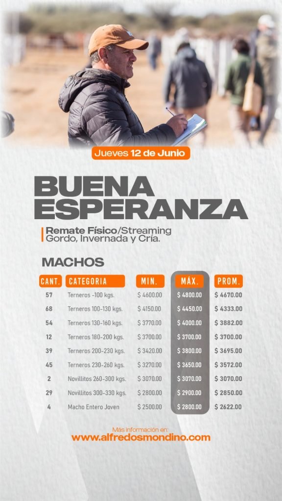Resultado Remate Buena Esperanza- Machos