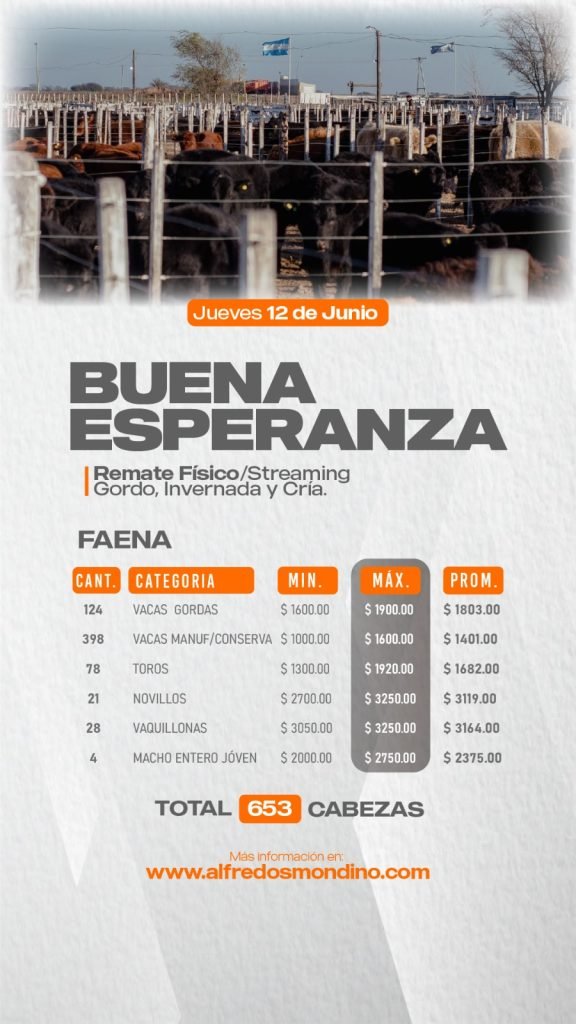 Resultado Remate Buena Esperanza- Faena