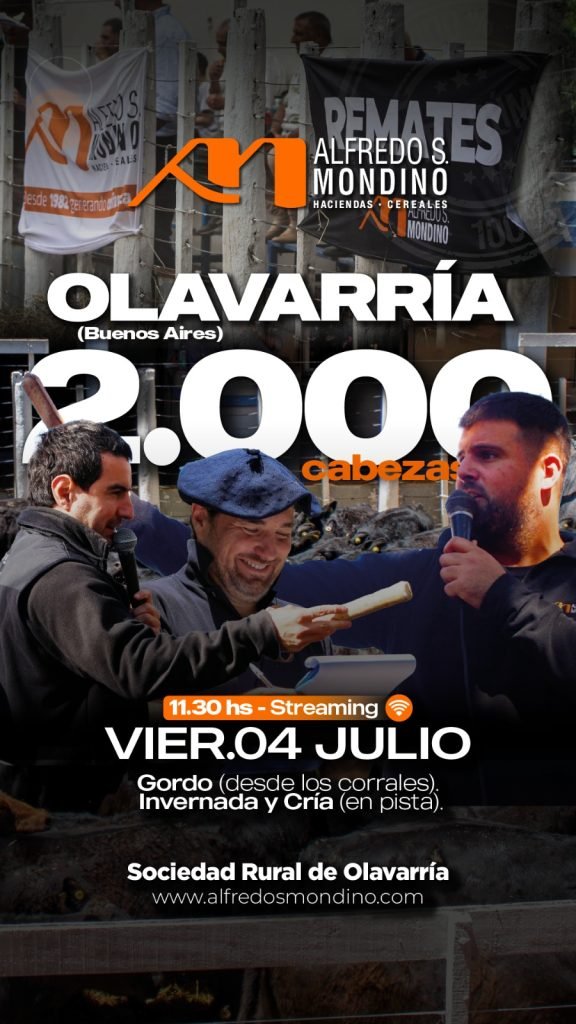 Remate Olavarría