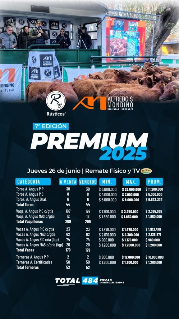 Resultados PREMIUM 2025