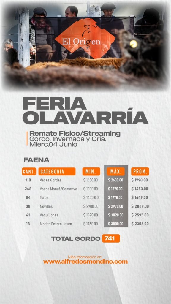 Resultado Olavarría- Faena