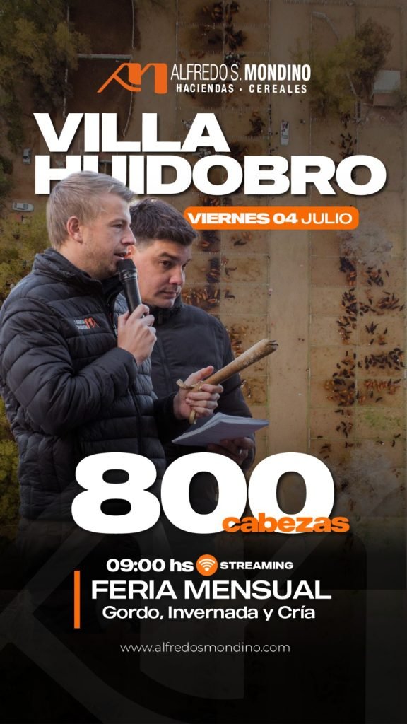 Remate Villa Huidobro