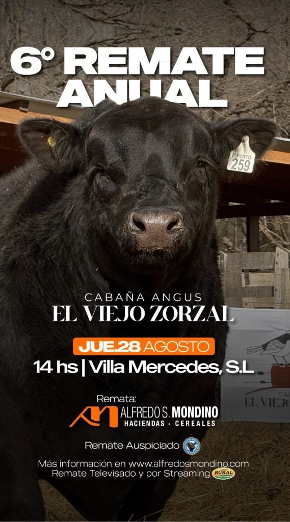 Remate Anual-Cabaña Angus El Viejo Zorzal