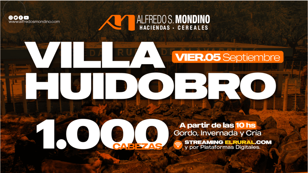Remate Villa Huidobro