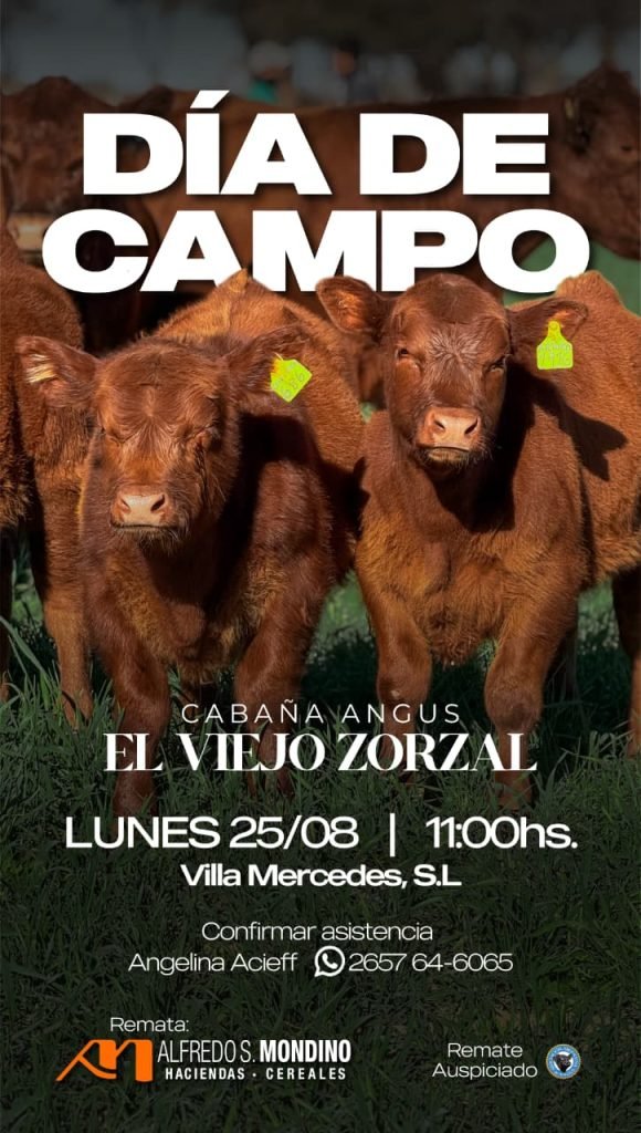 Día de Campo- El viejo Zorzal