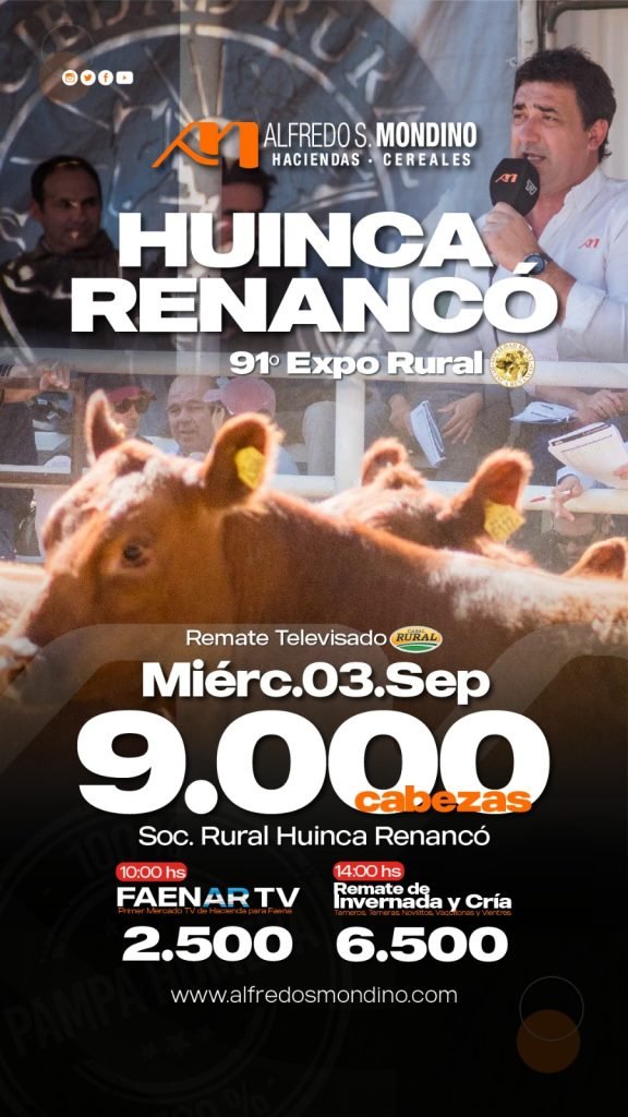 Remate Huinca Renancó