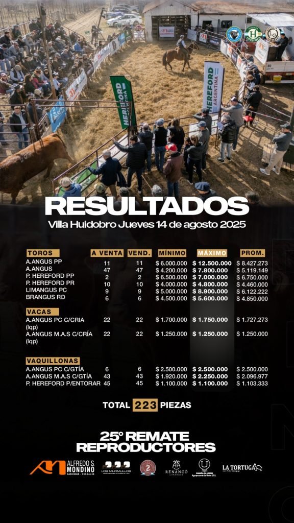Resultado Villa Huidobro