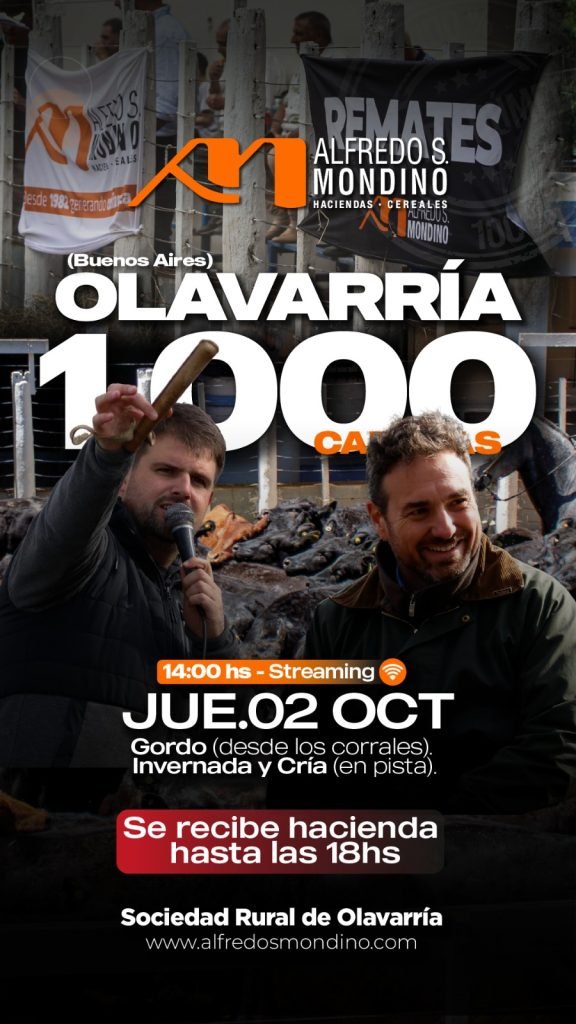 Feria Olavarría
