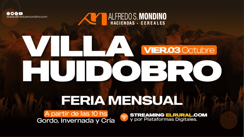 Feria Mensual de Villa Huidobro