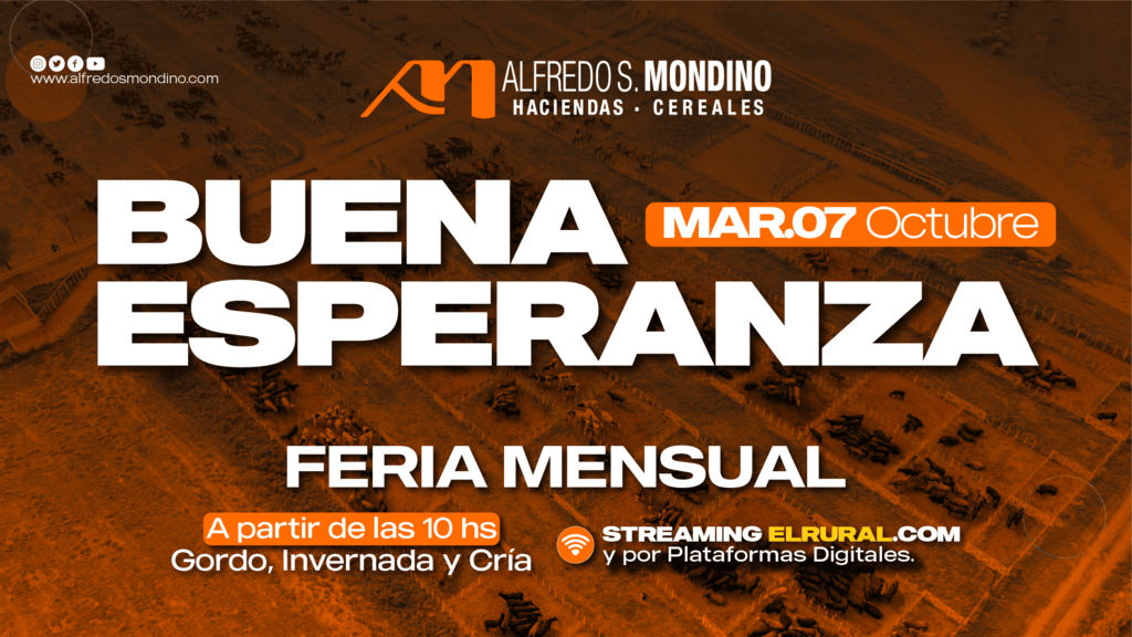 Feria Mensual Buena Esperanza