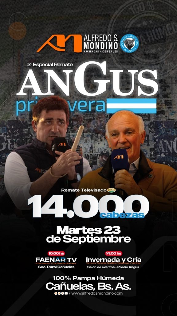 ANGUS Primavera-Cañuelas Bs.As