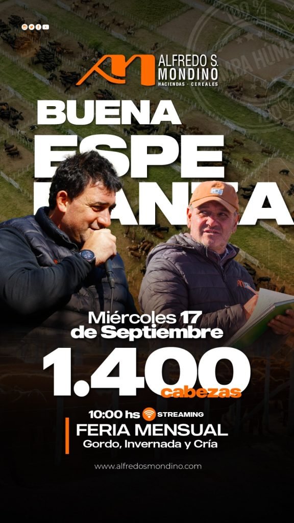 Feria Mensual de Buena Esperanza