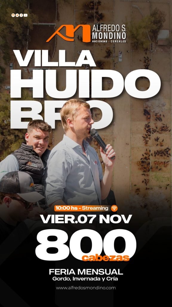 Remate Villa Huidobro