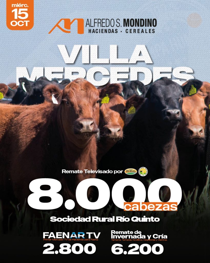 Próximo Televisado- Faenar TV