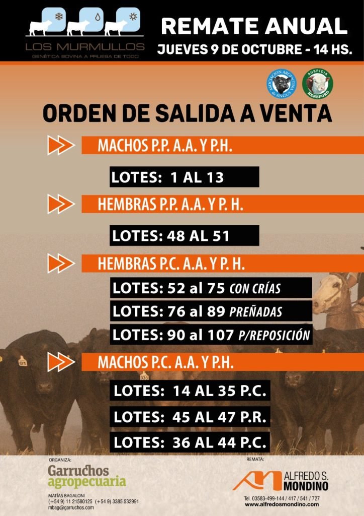 Remate «Los Murmullos»