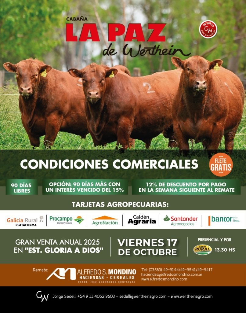 10° Gran Venta Anual- La Paz