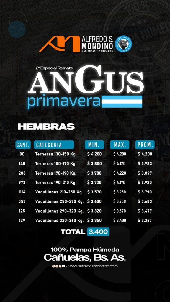 Resultado- Angus de Primavera- Hembras