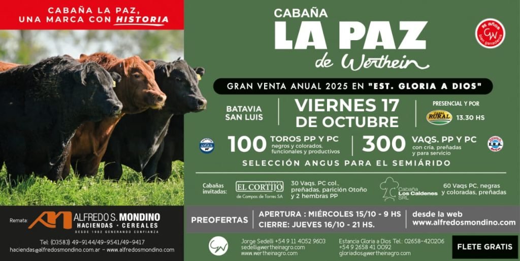 10° Gran Venta Anual- La Paz