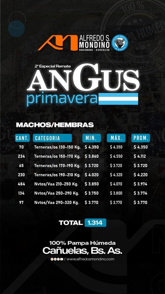 Resultado-Angus de Primavera- Machos/Hembras