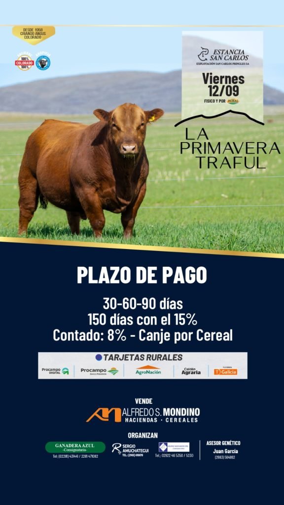La Primavera Traful – Estancia San Carlos