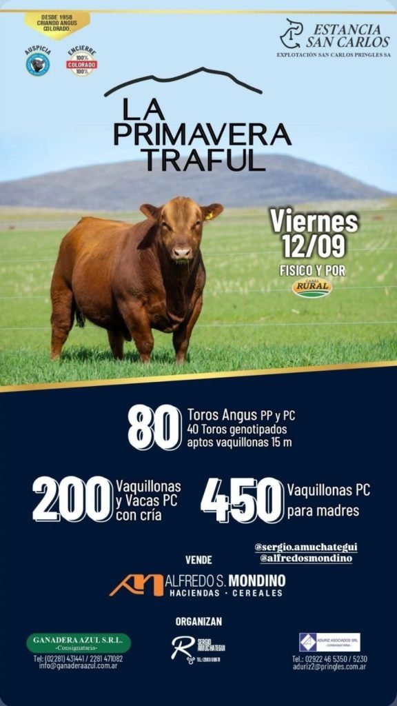 La Primavera Traful – Estancia San Carlos