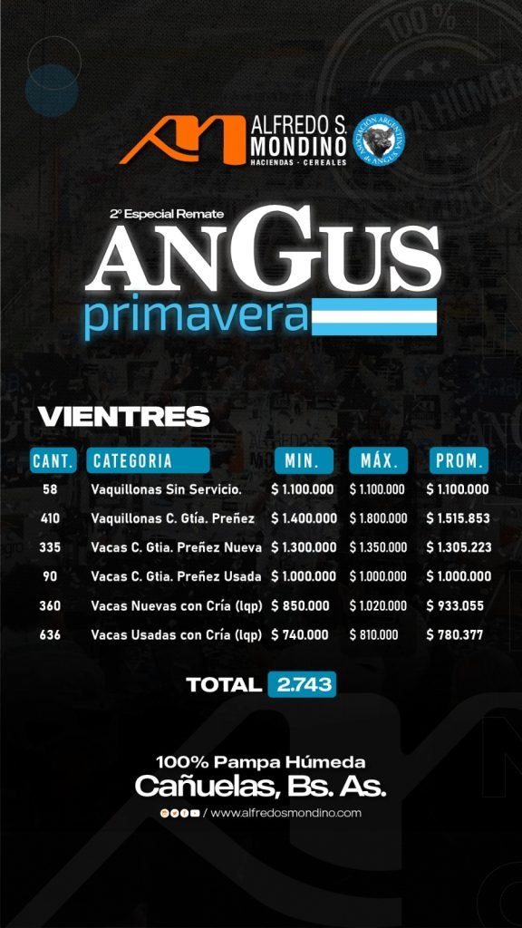 Resultado-Angus de Primavera- Vientres