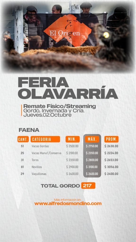 Resultado Faena- Feria Olavarría