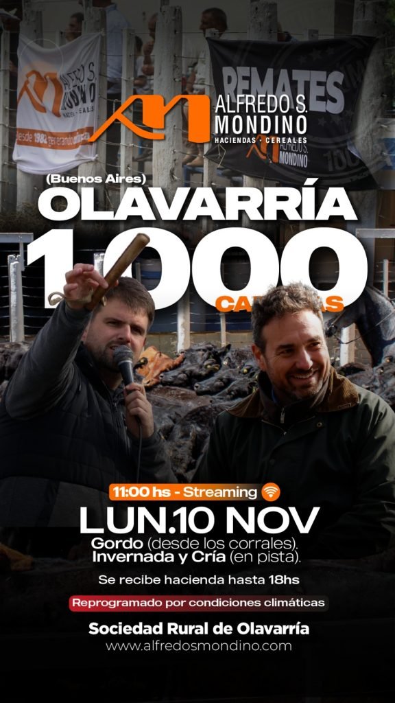 Remate Olavarría