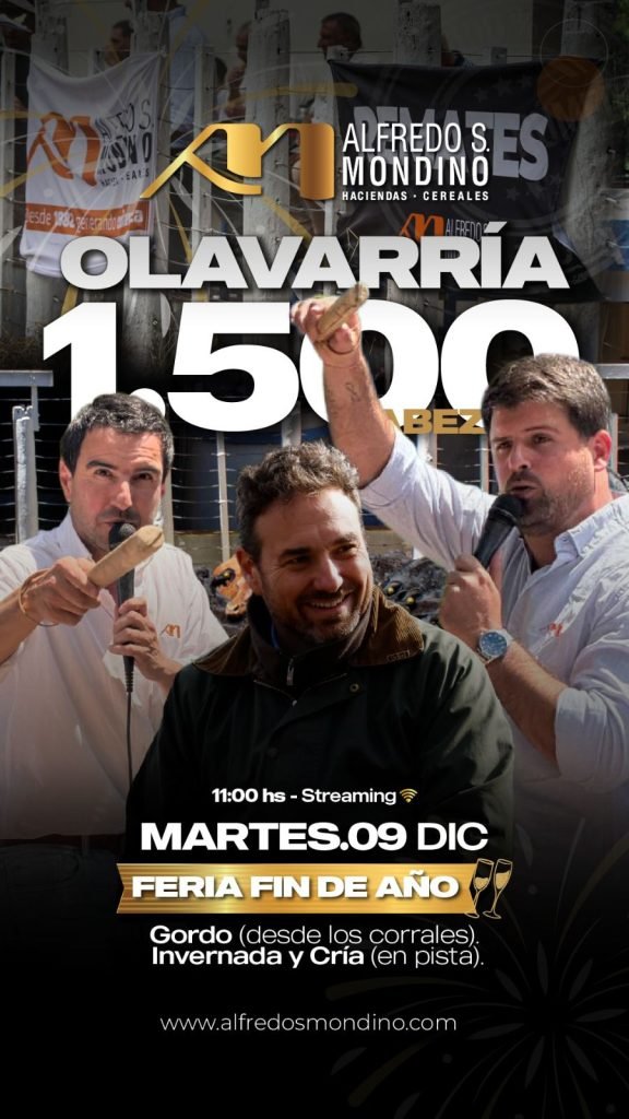 Feria de Fin de Año – Olavarría