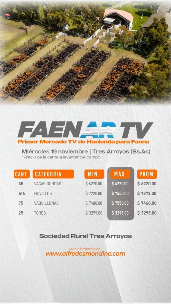 Resultado Faenar- Remate 19 de noviembre