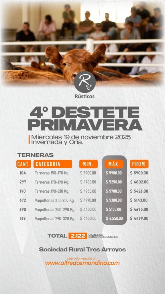 Resultado Hembras- Remate 19 de noviembre