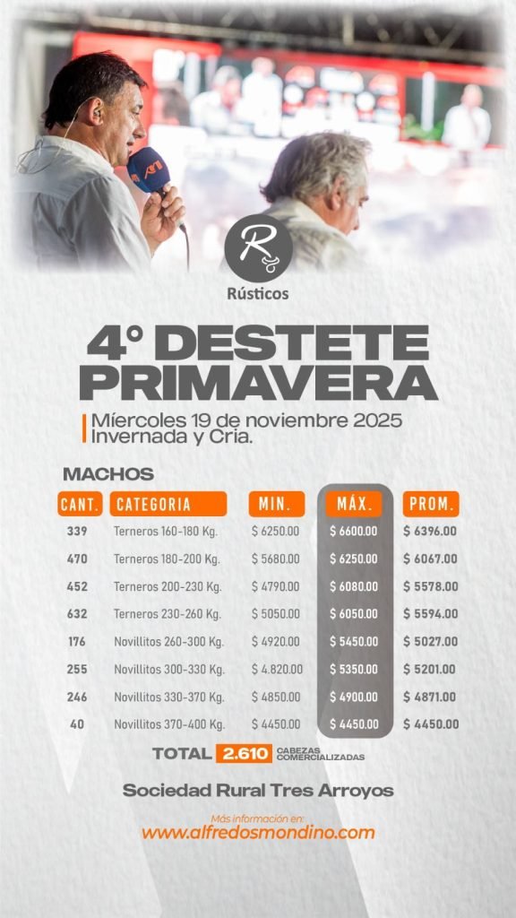 Resultado Machos- Remate 19 de noviembre