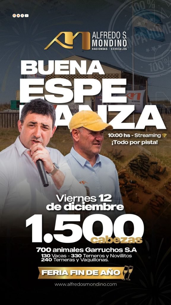 Feria Fin de Año- Buena Esperanza