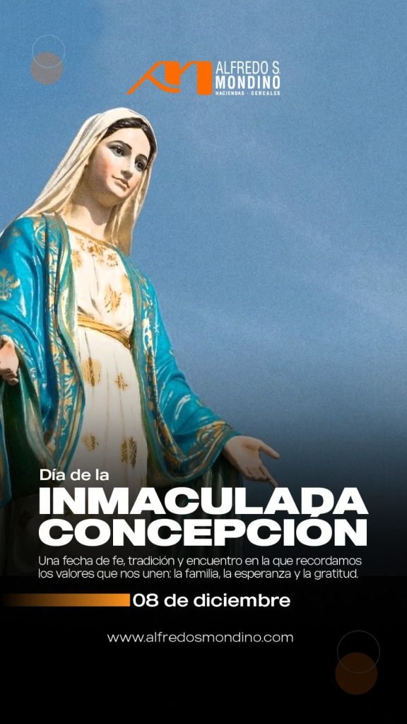 08 Diciembre | Celebramos el Día de la Inmaculada Concepción.