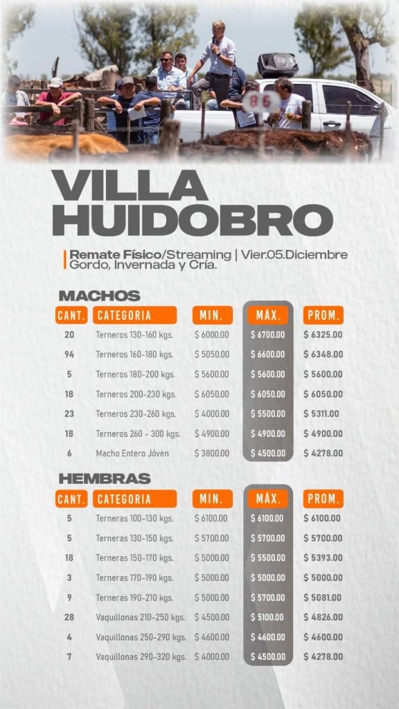 Resultado Remate Villa Huidobro-Machos