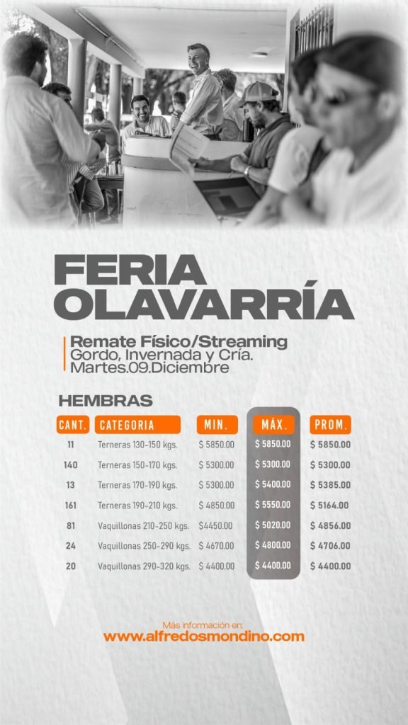 Resultado Remate Olavarría- Hembras