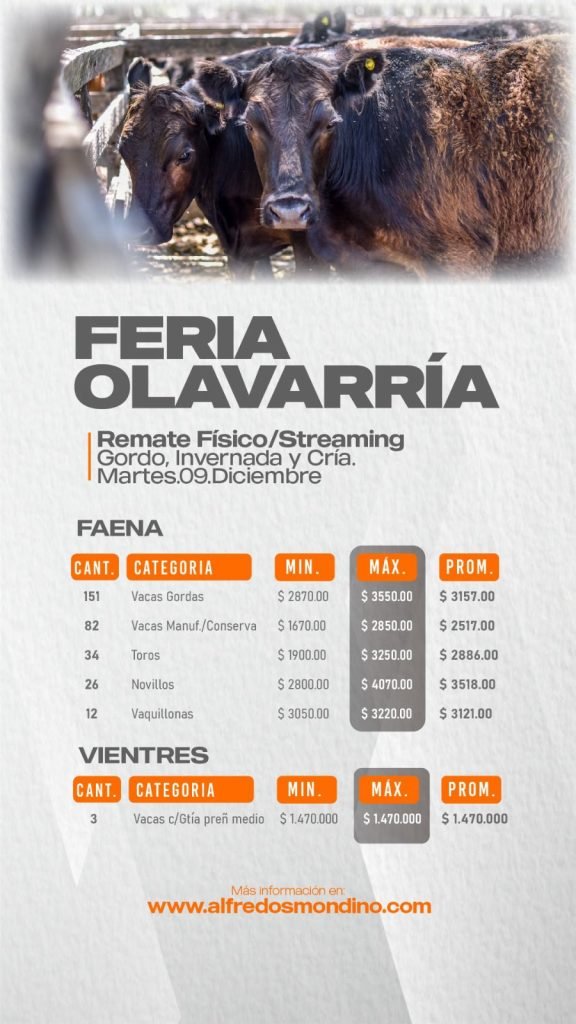 Resultado Remate Olavarría- Faena-Vientres
