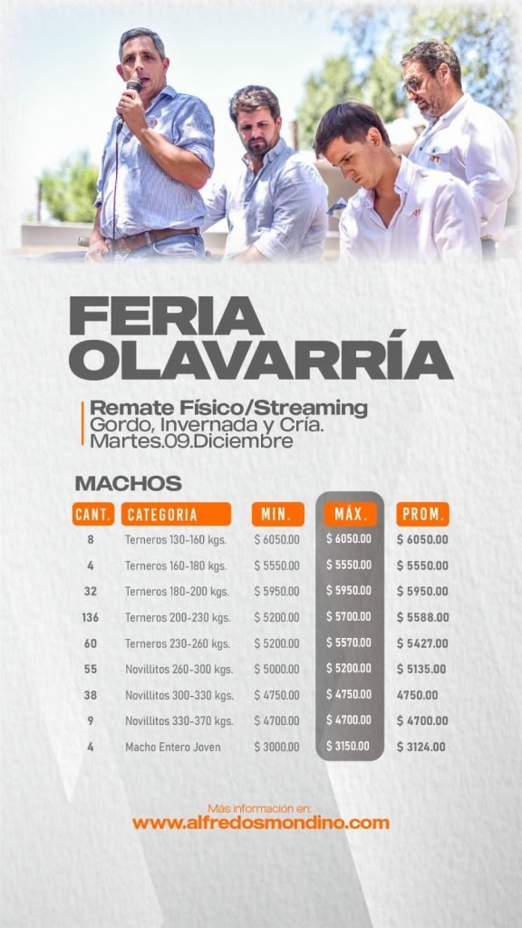 Resultado Remate Olavarría- Machos