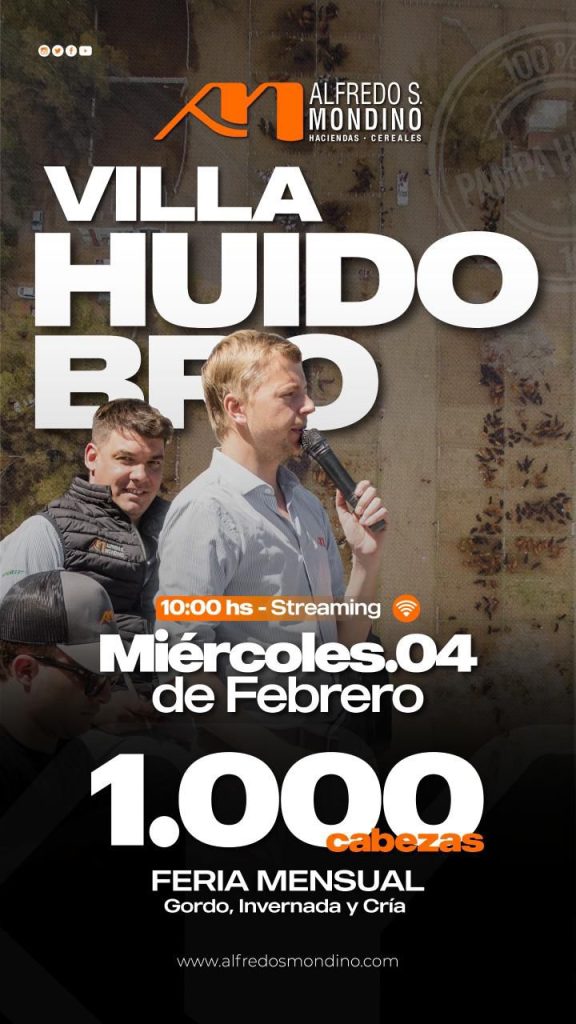 Remate Villa Huidobro