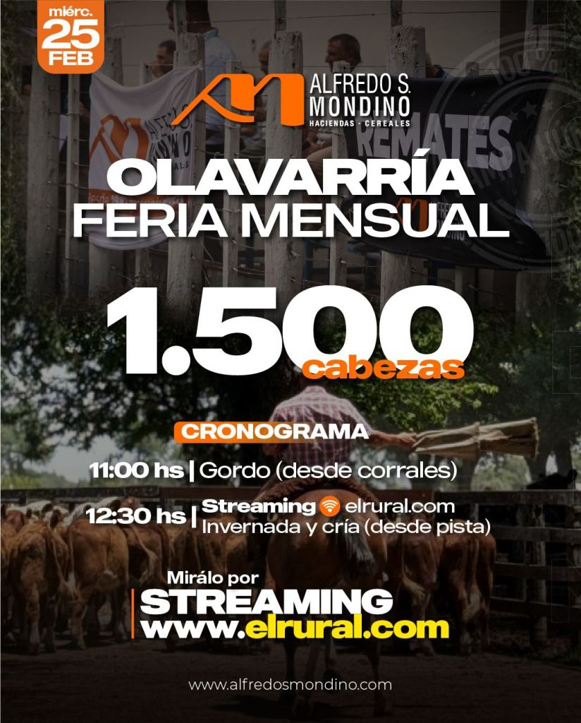 Remate Olavarría