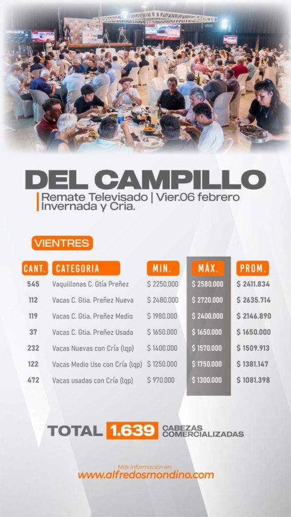 Resultado Vientres- Remate Del Campillo