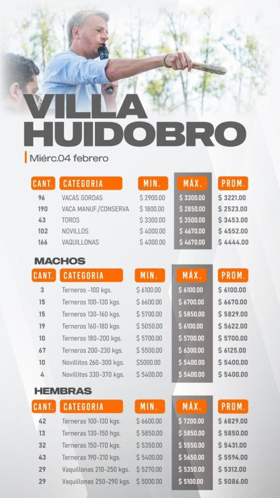 Resultado Remate Villa Huidobro