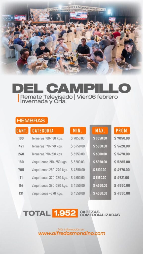 Resultado Hembras- Remate Del Campillo