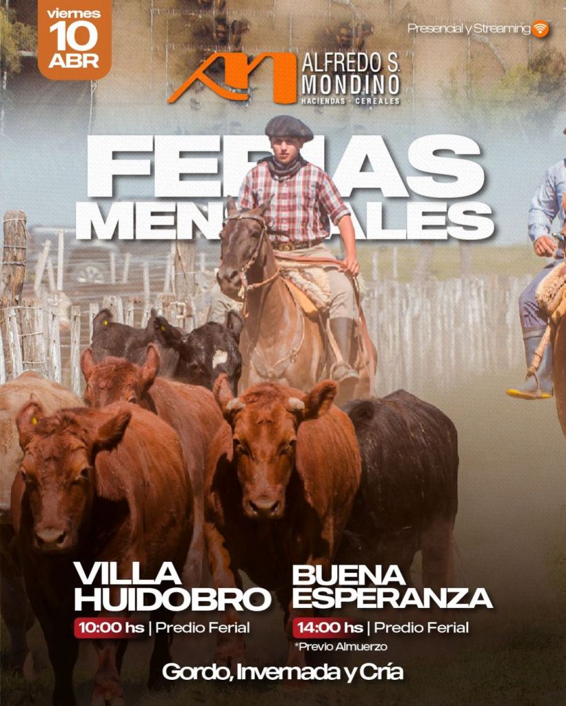 Ferias Mensuales- Villa Huidobro – Buena Esperanza