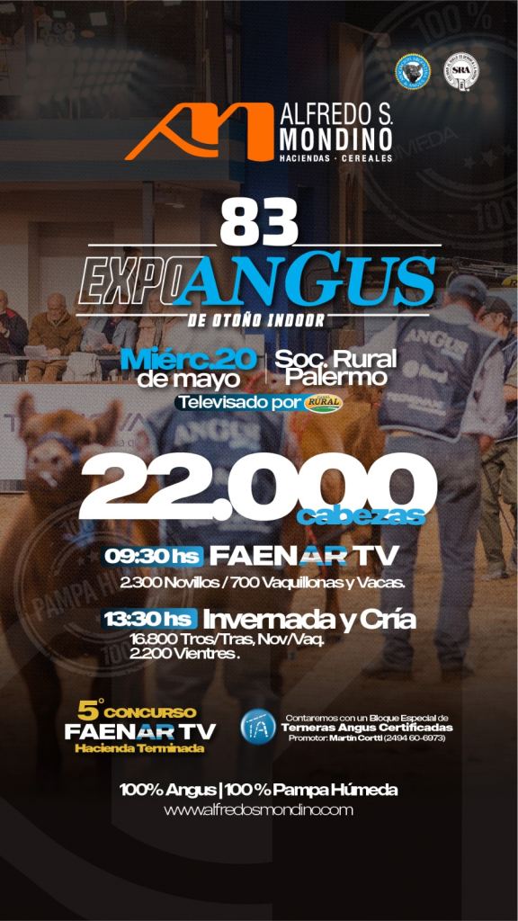 Remate Anual Expo Angus 2026 (Fanaer TV / Invernada y cria)