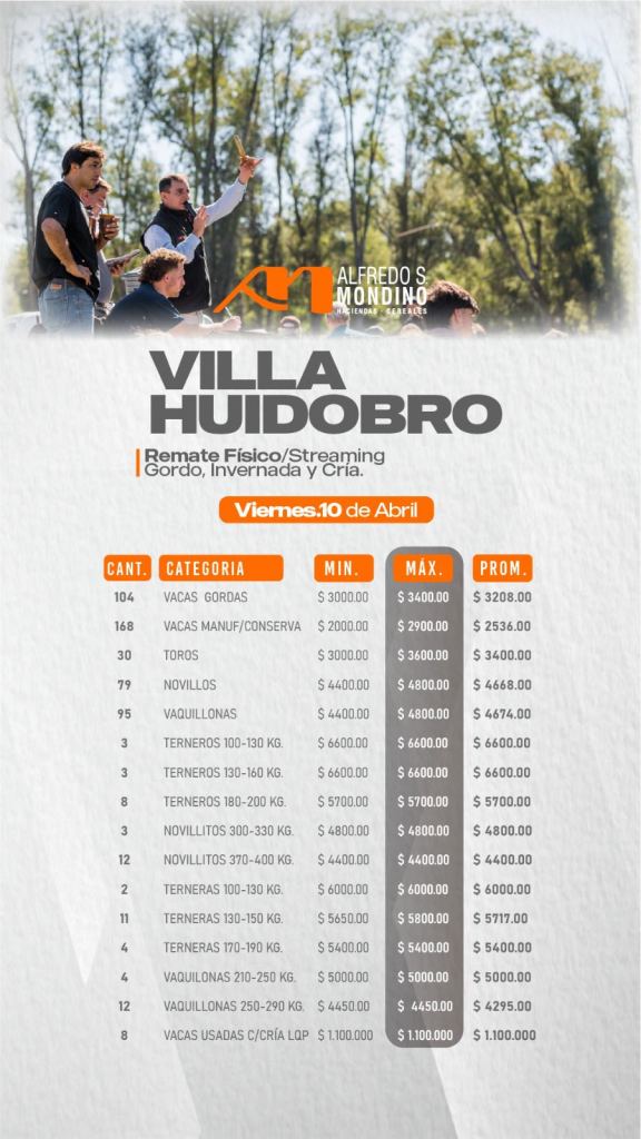 Resultado Remate Villa Huidobro